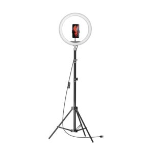 Amazon Basics LED Ring Light (12-inch) with Hot Shoe Adapter, Stand & Cameras, and 3 Temperature Modes  Amazon.in: Electronics