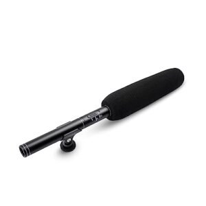 Digitek DM-201 Unidirectional Interview Microphone for Smartphone & DSLR Camera  Amazon.in: Fashion
