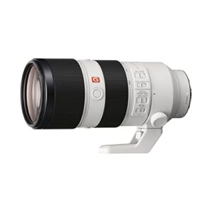 Sony E Mount FE 70-200mm F2.8 GM OSS Full-Frame Lens (SEL70200GM) | Telephoto Zoom | Premium G Master  Amazon.in: Electronics