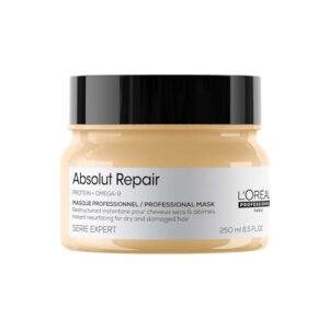 L'Oréal Professionnel Absolut Repair Mask for Dry & Damaged Hair - 250ml | Professional mask for Strengthening and Repairing Hair, With Protein & Omega-9, For Men & Women  Amazon.in: Beauty