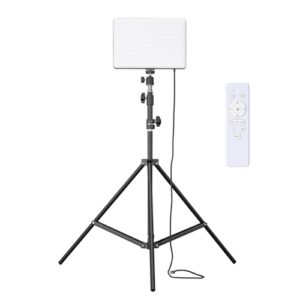 Buy Amazon Basics Studio Light with Stand | Studio Photography and Video Recording | 3000K - 6500K | Remote Control | 7ft Tripod Stand Online at Low Prices in India - Amazon.in