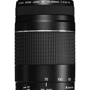 Canon EF 75-300 mm f/4-5.6 III Telephoto Zoom Lens for Canon SLR Cameras (Black)  Amazon.in: Electronics