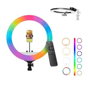 DIGITEK® (DRL-18 RGB) 18 Inch Multi-Color LED Ring Light with Remote Control & Smartphone Holder - Adjustable Color Temperature & Brightness, 360° Adjustment - Video & Photoshoot (Without Stand)  Amazon.in: Electronics