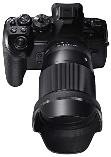 Sigma 16mm F/1.4 DC DN Contemporary Lens for Sony E Mount Mirrorless Cameras (APS- C Format, Black) Amazon.in: Electronics - Image 11