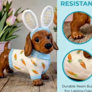 Cute Rabbit Ear Dachshund Statue With Carrot Print Outfit